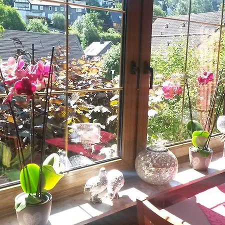 Landgasthof Goebel ゲストハウス ヴィリンゲン