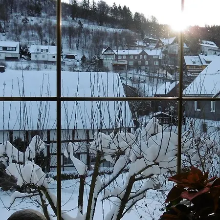 Landgasthof Goebel 3* ヴィリンゲン