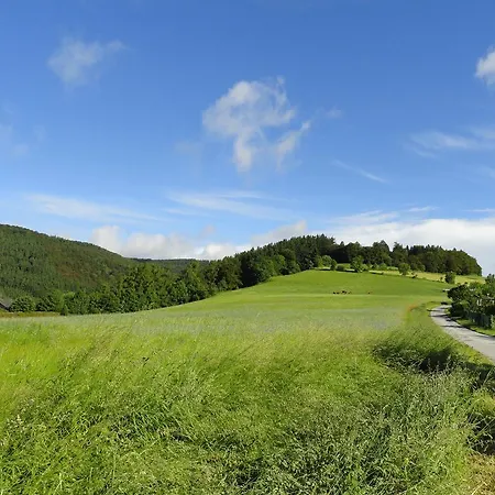 Guest house Landgasthof Goebel Willingen (Upland)
