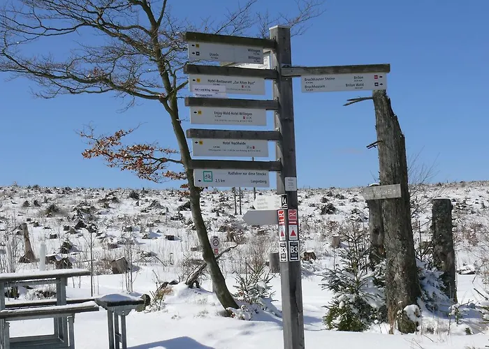 Landgasthof Goebel 게스트하우스 3*