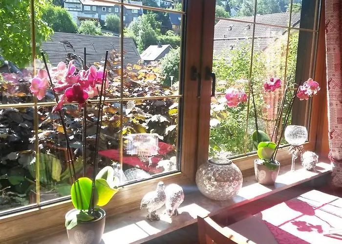 Landgasthof Goebel Maison d'hôtes Willingen (Upland)