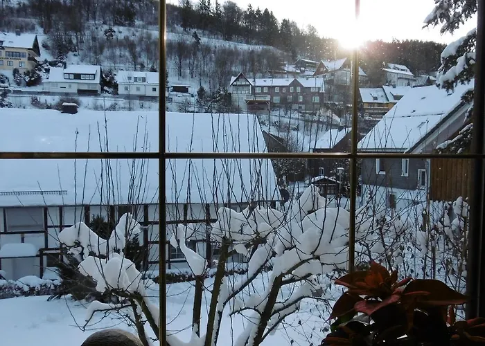 Landgasthof Goebel 3* 빌링겐